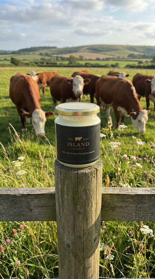 Grass-Fed Beef Tallow — 500g
